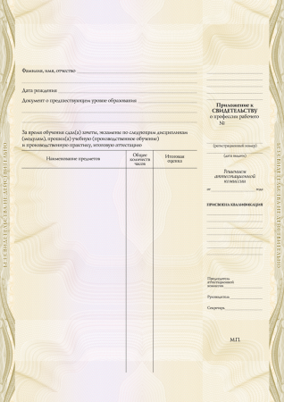 Приложение к Свидетельству о профессии рабочего (установленный образец)
