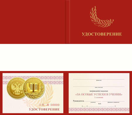 Удостоверение к медали «За особые успехи в учении» (установленный образец)