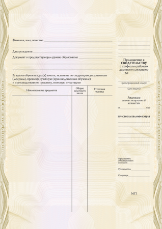 Приложение к Свидетельству о профессии рабочего должности служащего (установленный образец)