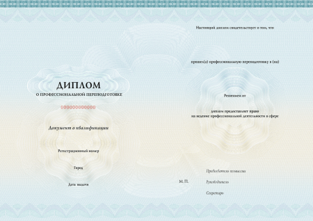 Диплом о профессиональной переподготовке, без твёрдой обложки (установленный образец)  (Уровень "Б", печать от заказа 16790з, 057пф - п/ф Диплом о проф. переподготовке (флаг, до 1000 ч))